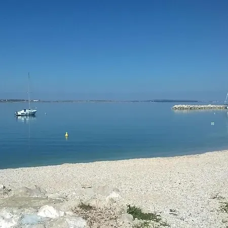 2 * Vrsi