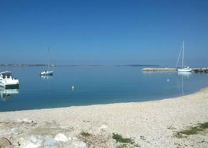 2 * Vrsi